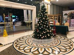 -维也纳国际酒店(深圳新洲店)