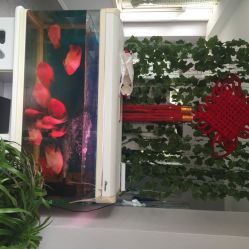 传世玉颜专业祛痘连锁机构(雁塔店)-传世玉颜专业祛痘·问题肌