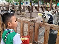 -水上乐园·欢乐世界