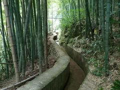 -将军关探险漂流