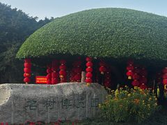 -南宁南湖公园