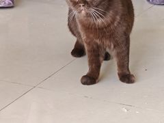 -平行世界·猫咖(首经贸店)