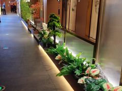 -宏宴·新京菜(望京店)