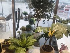-喜茶(珠海华发商都店)