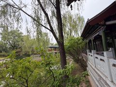-迎泽公园