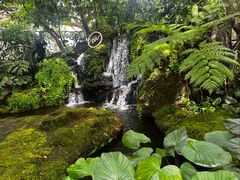 -Chom Cafe and Restaurant