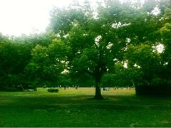 iphone_upload_pic-御花园·粤菜·海鲜火锅(中山公园店)