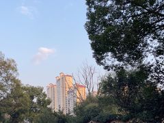 -永安龟山公园