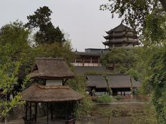 -桂湖森林公园