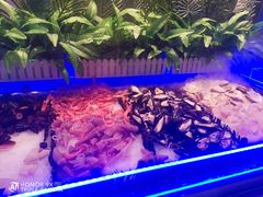 -非烤勿扰自助烤肉(虎门天虹店)