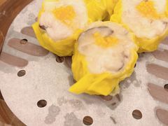 -美心皇宫(沙田大会堂店)