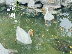 -龙华寺