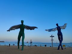 -大梅沙海滨公园