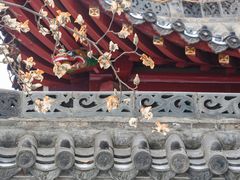 -长春观