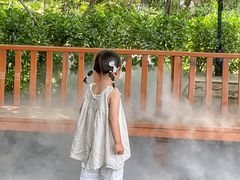 -郑州方特梦幻王国