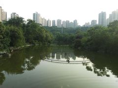 -龙头寺公园