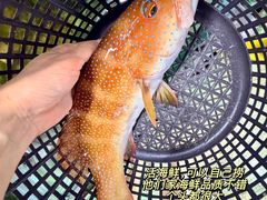 -双天海鲜楼 · 43年老字号
