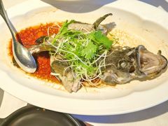 -顺峰(农展馆店)