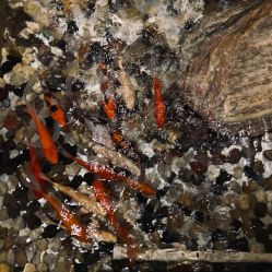 -至爱至信新中式SPA疗愈会所