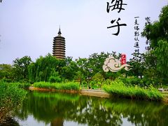 -西海子公园