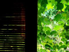 -斯多格书乡(北京大学畅春园店)