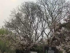 -泓盛花园