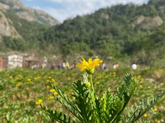 -大罗山风景区