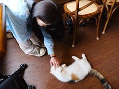 -猫岛主趣味餐厅(鼓浪屿店)