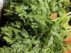 茼蒿-纸盐河码头火锅(十八梯店)
