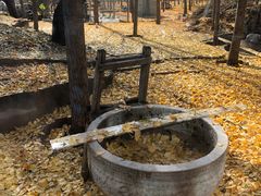 -1369冰火锅(木北路店)