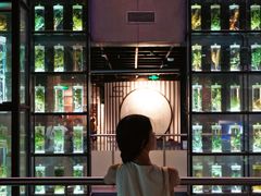 -广东中医药博物馆