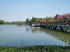 -尚贤河湿地