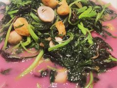 上汤苋菜-东海海鲜酒家(中信广场店)