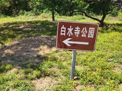 -白水寺森林公园