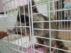 -Moni星球萌宠·小马宝莉·灵蛇·高端高阶全萌宠互动体验俱乐部(红豆国际广场店)