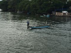 -尼甘布海鲜市场