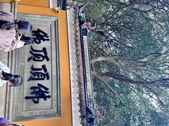 -普陀山风景区-佛顶山