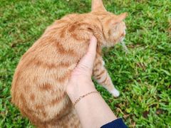 -十九路军淞沪抗日阵亡将士陵园