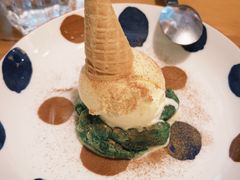 堆肥饼干-Mesa Madre梅萨妈妈·Bintana(国贸店)