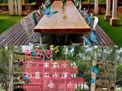 -前小桔亲子创意农场·草莓采摘·露营烧烤