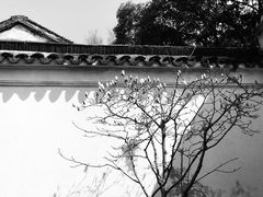 -耦园