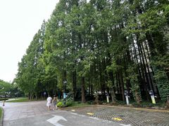 -上海虹桥迎宾馆