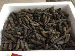 -宫品海参专卖店(静安大宁店)
