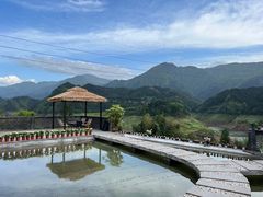 -瓦屋山景区