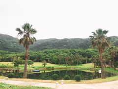 -普陀山风景名胜区-千步大沙