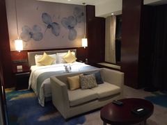-常州环球恐龙城维景国际大酒店