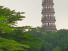 -顺峰山公园