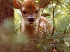 -李先生的首尔小馆(松江启源广场店)