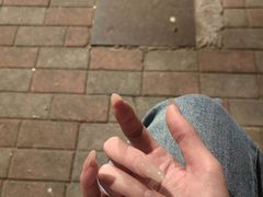 -安妮贝可生日蛋糕(北国商城店)