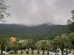 -梧桐山风景名胜区